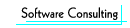 Software Consulting
